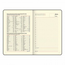 Ежедневник недатированный МАЛЫЙ ФОРМАТ 100x150 мм, А6, BRAUBERG "Iguana", под кожу, 160 л., синий, 114467