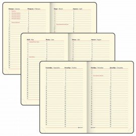 Ежедневник недатированный МАЛЫЙ ФОРМАТ 100x150 мм, А6, BRAUBERG "Iguana", под кожу, 160 л., синий, 114467