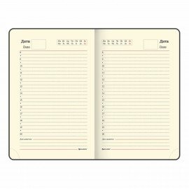 Ежедневник недатированный МАЛЫЙ ФОРМАТ 100x150 мм, А6, BRAUBERG "Iguana", под кожу, 160 л., синий, 114467