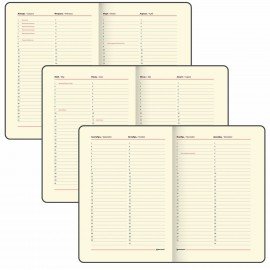 Еженедельник недатированный А5, 145х215 мм, BRAUBERG "Iguana", под кожу, 64 л., красный, 114477