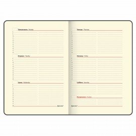 Еженедельник недатированный А5, 145х215 мм, BRAUBERG "Iguana", под кожу, 64 л., черный, 114478