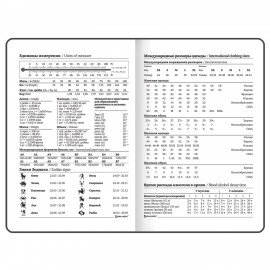Ежедневник недатированный с резинкой, МАЛЫЙ ФОРМАТ А6 (109х148 мм), BRAUBERG, 128 л., "Мрамор", 114569