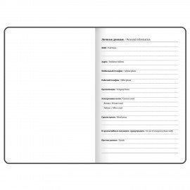 Ежедневник недатированный с резинкой, МАЛЫЙ ФОРМАТ А6 (109х148 мм), BRAUBERG, 128 л., "Мрамор", 114569