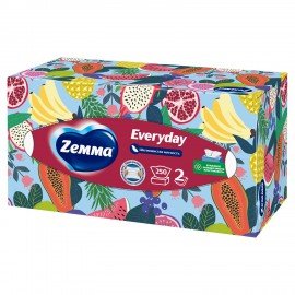 Салфетки косметические 2-слойные в картонном коробе, 250 штук, ZEWA Everyday, 8679