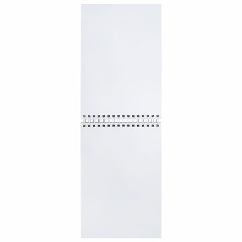 Скетчбук, белая бумага 100 г/м2, 140х201 мм, 60 л., гребень, жёсткая подложка, BRAUBERG ART, "Корги", 115064