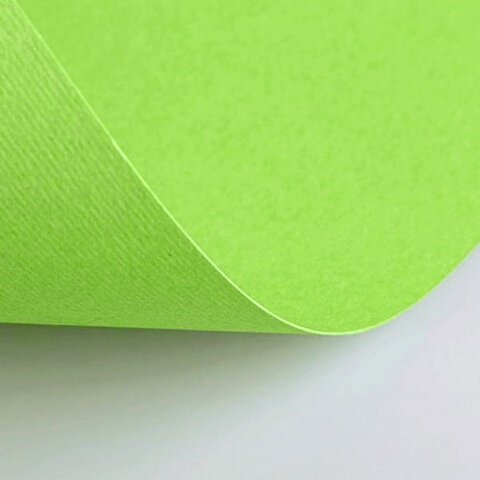 Бумага (картон) для творчества (1 лист) Fabriano Elle Erre А2+ 500х700 мм, 220 г/м2, светло-зеленый, 42450710