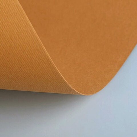Бумага (картон) для творчества (1 лист) Fabriano Elle Erre А2+ 500х700 мм, 220 г/м2, светло-коричневый, 42450703
