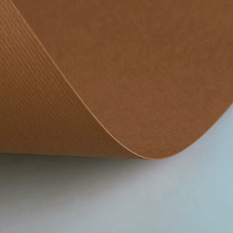Бумага (картон) для творчества (1 лист) Fabriano Elle Erre А2+ 500х700 мм, 220 г/м2, терракотовый, 42450719