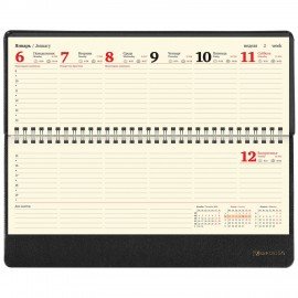 Планинг датированный 2025 305х140 мм BRAUBERG "Iguana", под кожу, черный, 115693