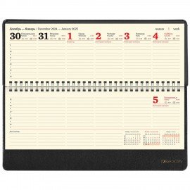 Планинг датированный 2025 305х140 мм BRAUBERG "Iguana", под кожу, черный, 115693