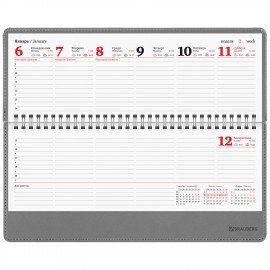 Планинг датированный 2025 305х140 мм BRAUBERG "Up", под кожу, серый, 115705
