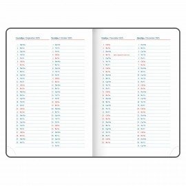 Ежедневник датированный 2025 А5 148х218 мм GALANT "Ritter", под кожу, коричневый, 115715