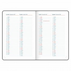 Ежедневник датированный 2025 А5 148х218 мм GALANT "Ritter", под кожу, бордовый, 115718