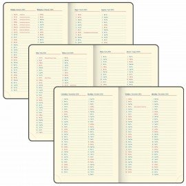 Ежедневник датированный 2025 А5 148х218 мм GALANT "Infinity Silver", под кожу, красный, 115722