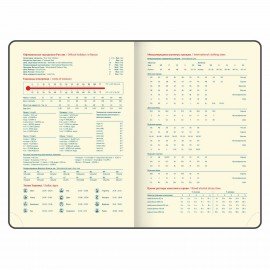 Ежедневник датированный 2025 А5 148х218 мм GALANT "Infinity Silver", под кожу, серый, 115724