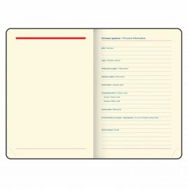 Ежедневник датированный 2025 А5 148х218 мм GALANT "Infinity Silver", под кожу, бежевый, 115725