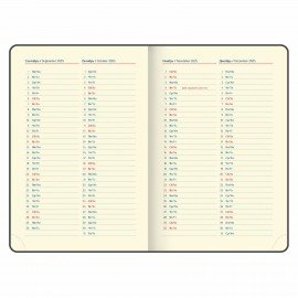 Ежедневник датированный 2025 А5 148х218 мм GALANT "Infinity Silver", под кожу, бежевый, 115725