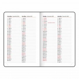 Ежедневник датированный 2025 МАЛЫЙ ФОРМАТ 100х150 мм А6, BRAUBERG "Select", балакрон, розовый, 115754