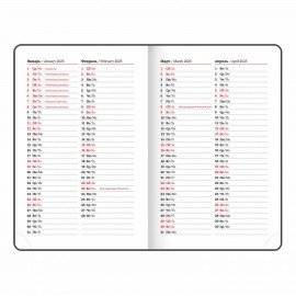 Ежедневник датированный 2025 МАЛЫЙ ФОРМАТ 100х150 мм А6, BRAUBERG "Select", балакрон, розовый, 115754