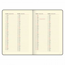 Ежедневник датированный 2025, А5, 138x213 мм, BRAUBERG "Cayman", под кожу, черный, 115772