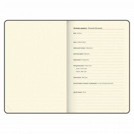 Ежедневник датированный 2025, А5, 138x213 мм, BRAUBERG "Iguana", под кожу, черный, 115779