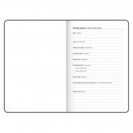 Ежедневник датированный 2025 А5 138x213 мм BRAUBERG "Rainbow", под кожу, красный, 115801