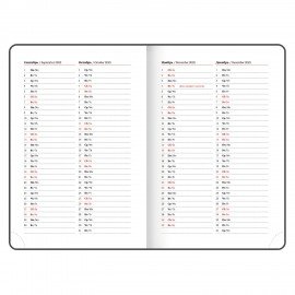 Ежедневник датированный 2025 А5 138x213 мм BRAUBERG "Rainbow", под кожу, красный, 115801