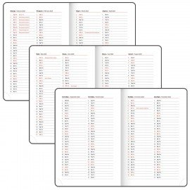 Ежедневник датированный 2025 А5 138x213 мм BRAUBERG "Rainbow", под кожу, красный, 115801