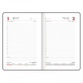 Ежедневник датированный 2025 А5 138x213 мм BRAUBERG "Rainbow", под кожу, красный, 115801