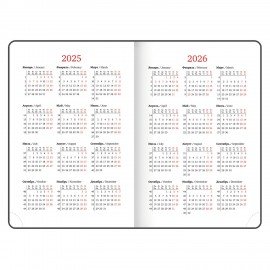 Ежедневник датированный 2025 А5 138x213 мм BRAUBERG "Rainbow", под кожу, красный, 115801