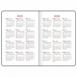 Ежедневник датированный 2025 А5 138x213 мм BRAUBERG "Rainbow", под кожу, розовый, 115802