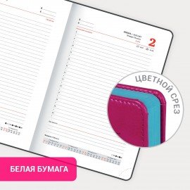 Ежедневник датированный 2025 А5 138x213 мм BRAUBERG "Rainbow", под кожу, розовый, 115802