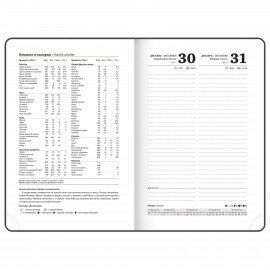 Ежедневник датированный 2025 А5 138x213 мм BRAUBERG "Rainbow", под кожу, розовый, 115802