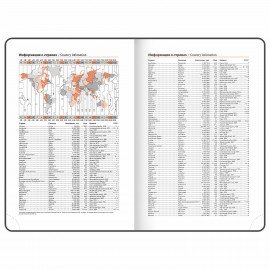 Ежедневник датированный 2025 А5 138x213 мм BRAUBERG "Rainbow", под кожу, черный, 115803