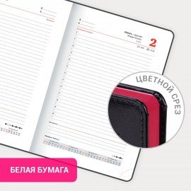 Ежедневник датированный 2025 А5 138x213 мм BRAUBERG "Rainbow", под кожу, черный, 115803