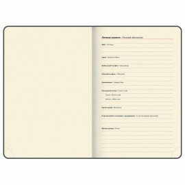 Ежедневник датированный 2025, А5, 138x213 мм, BRAUBERG "Stylish", под кожу гибкий, желтый, 115825