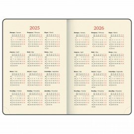 Ежедневник датированный 2025, А5, 138x213 мм, BRAUBERG "Metropolis Mix", под кожу гибкий, красный, 115860