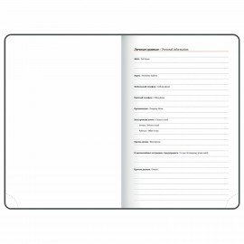 Ежедневник датированный 2025, А5, 138х213 мм, BRAUBERG "Impression", под кожу, серый, 115923