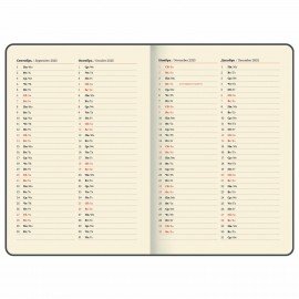 Еженедельник датированный 2025, 210х297 мм, А4, BRAUBERG "Iguana", под кожу, красный, 115948