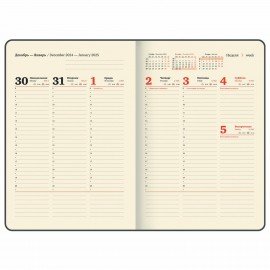 Еженедельник датированный 2025, 210х297 мм, А4, BRAUBERG "Iguana", под кожу, красный, 115948