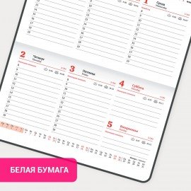 Еженедельник датированный 2025 МАЛЫЙ ФОРМАТ 95х155 мм А6, BRAUBERG "Select", балакрон, черный, 115983