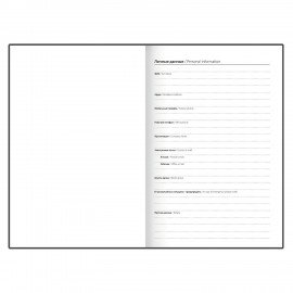 Ежедневник датированный 2025 145х215 мм, А5, STAFF, ламинированная обложка, "Котик", 116031