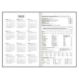 Ежедневник датированный 2025 145х215 мм, А5, STAFF, ламинированная обложка, "Утки", 116033