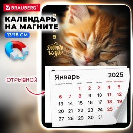 Календарь отрывной на магните на 2025 г., BRAUBERG, 130х180 мм, склейка, "Котик", 116281