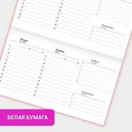 Еженедельник недатированный с резинкой 171х93мм, BRAUBERG, твердый, розовый, 64л, Minimal, 116310