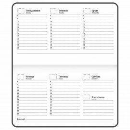 Еженедельник недатированный с резинкой 171х93мм, BRAUBERG, твердый, 64л, Leopard print, 116312