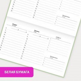 Еженедельник недатированный с резинкой 171х93мм, BRAUBERG, твердый, зеленый, 64л, Minimal, 116314