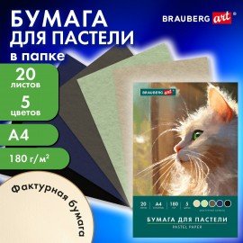 Бумага для пастели А4 в папке, 20 листов 5 цветов, 180 гр/м2, BRAUBERG ART CLASSIC, 116345
