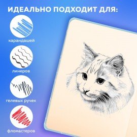 Скетчбук, слоновая кость 140 г/м2, 130х210 мм, 80 л., софт-тач, резинка, BRAUBERG ART CLASSIC, "Милый гусь", 116469