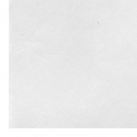 Накладки покрытия для унитаза КОМПЛЕКТ 20 шт. школа/офис/больница/роддом/поездка LAIMA, 116732